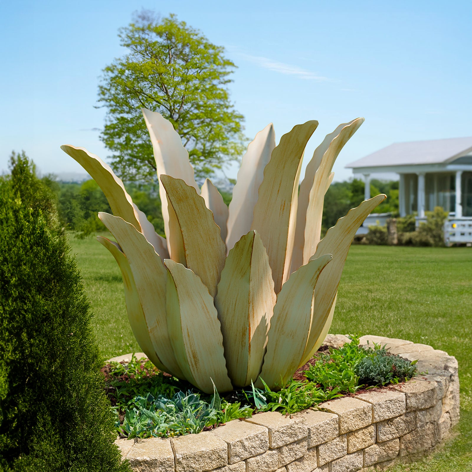 Desert Greenery Agave