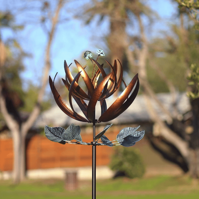 Cyan Oasis copper flower spinning in the gardem