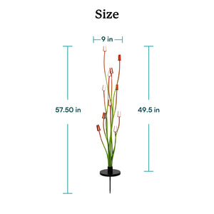 Measurement chart of a decorative plant with dimensions on a white background