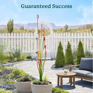 Outdoor patio with plants, table, and couch under a clear blue sky with 'Guaranteed Success' text.