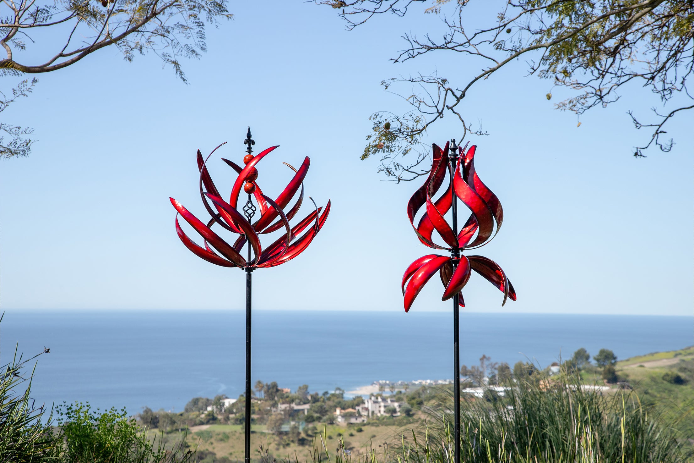 Crimson Tulip-Lotus Duet