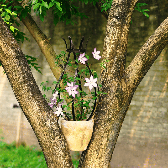 Bloom Obelisk Trellis