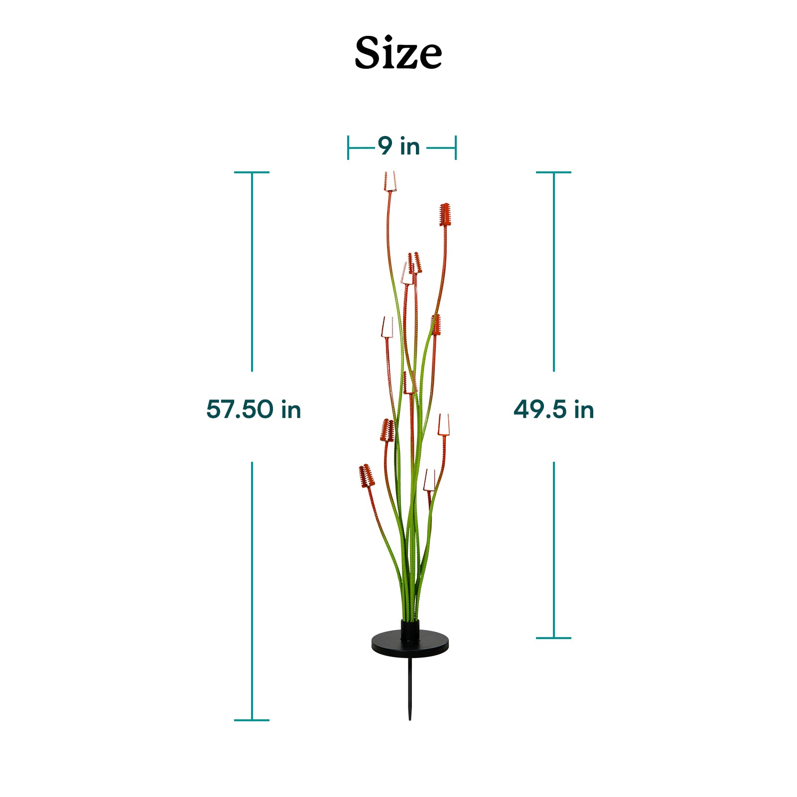 Measurement chart of a decorative plant with dimensions on a white background