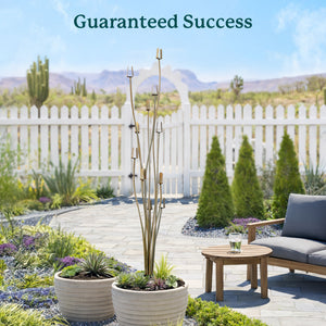 Outdoor garden scene with potted plants, a table, and a couch under a clear blue sky.